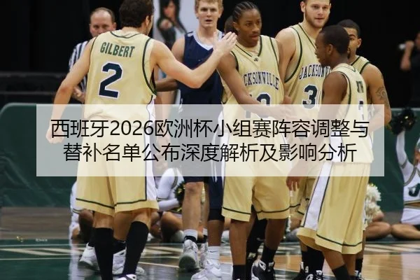 西班牙2026欧洲杯小组赛阵容调整与替补名单公布深度解析及影响分析