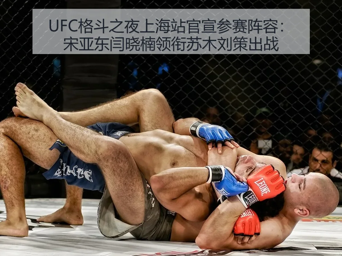 UFC格斗之夜上海站官宣参赛阵容：宋亚东闫晓楠领衔苏木刘策出战